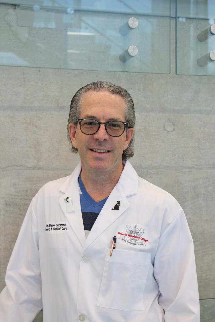 Shane Bateman picture