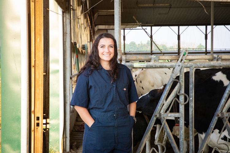 Employee in the Cow Barn