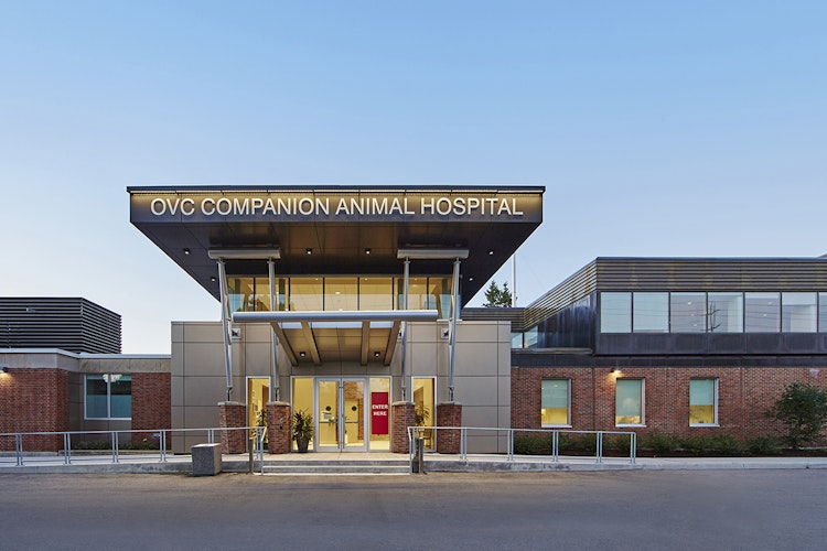 OVC Companion Animal Hospital Entrance