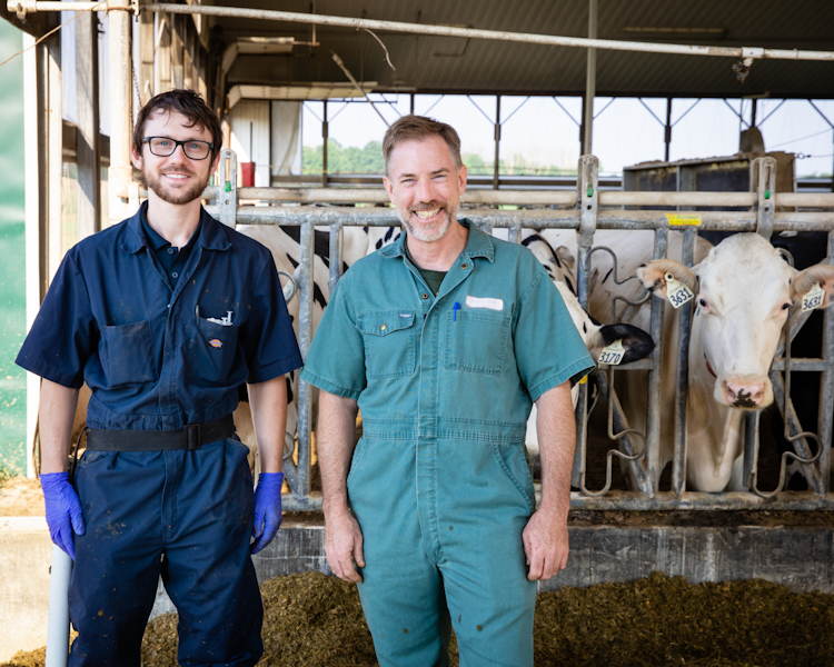 Researchers in cow barn