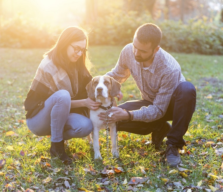Couple with Dog in a park