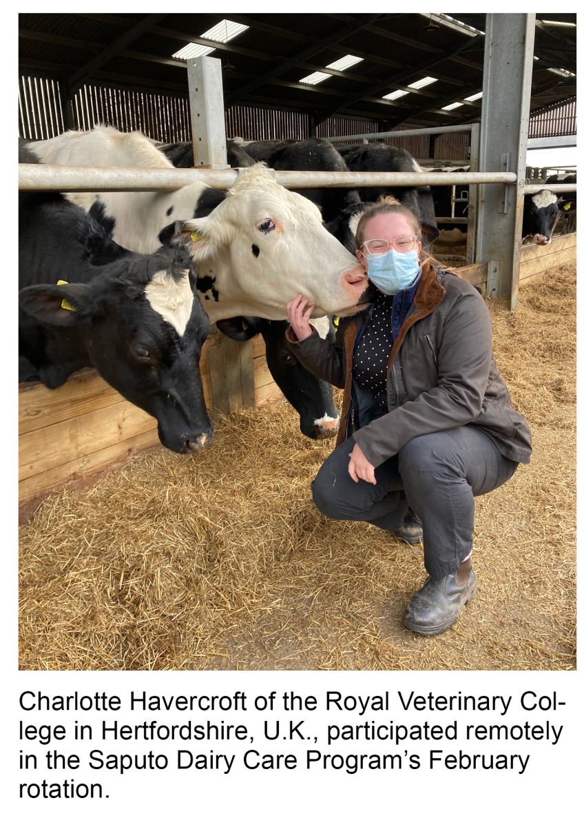 Charlotte Havercroft of the Royal Veterinary College in Hertfordshire, U.K., participated remotely in the Saputo Dairy Care Program’s February rotation.