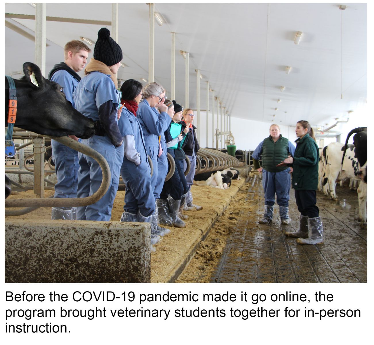 Before the COVID-19 pandemic made it go online, the  program brought veterinary students together for in-person instruction.