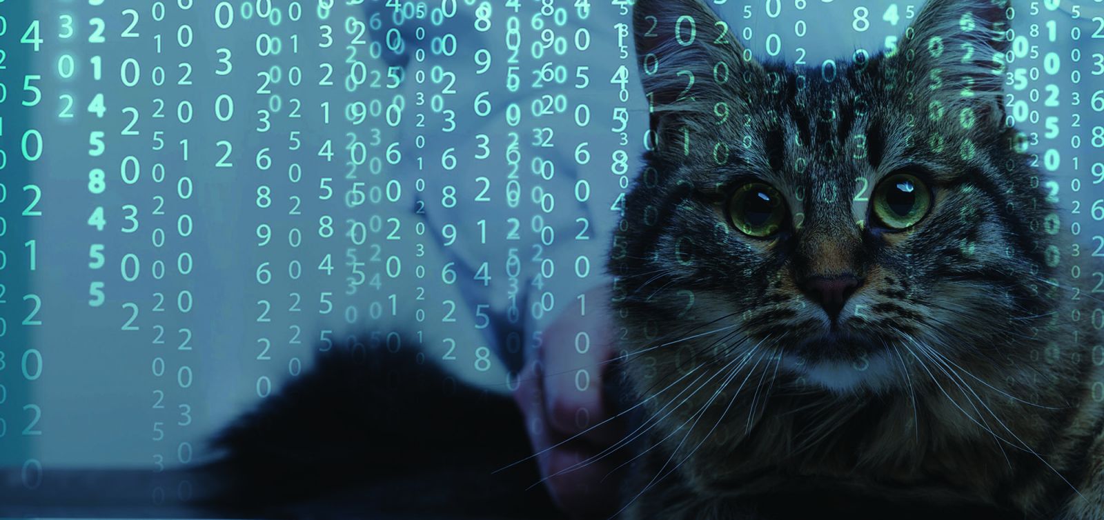 Photo of a cat with an overlay of data and numbers