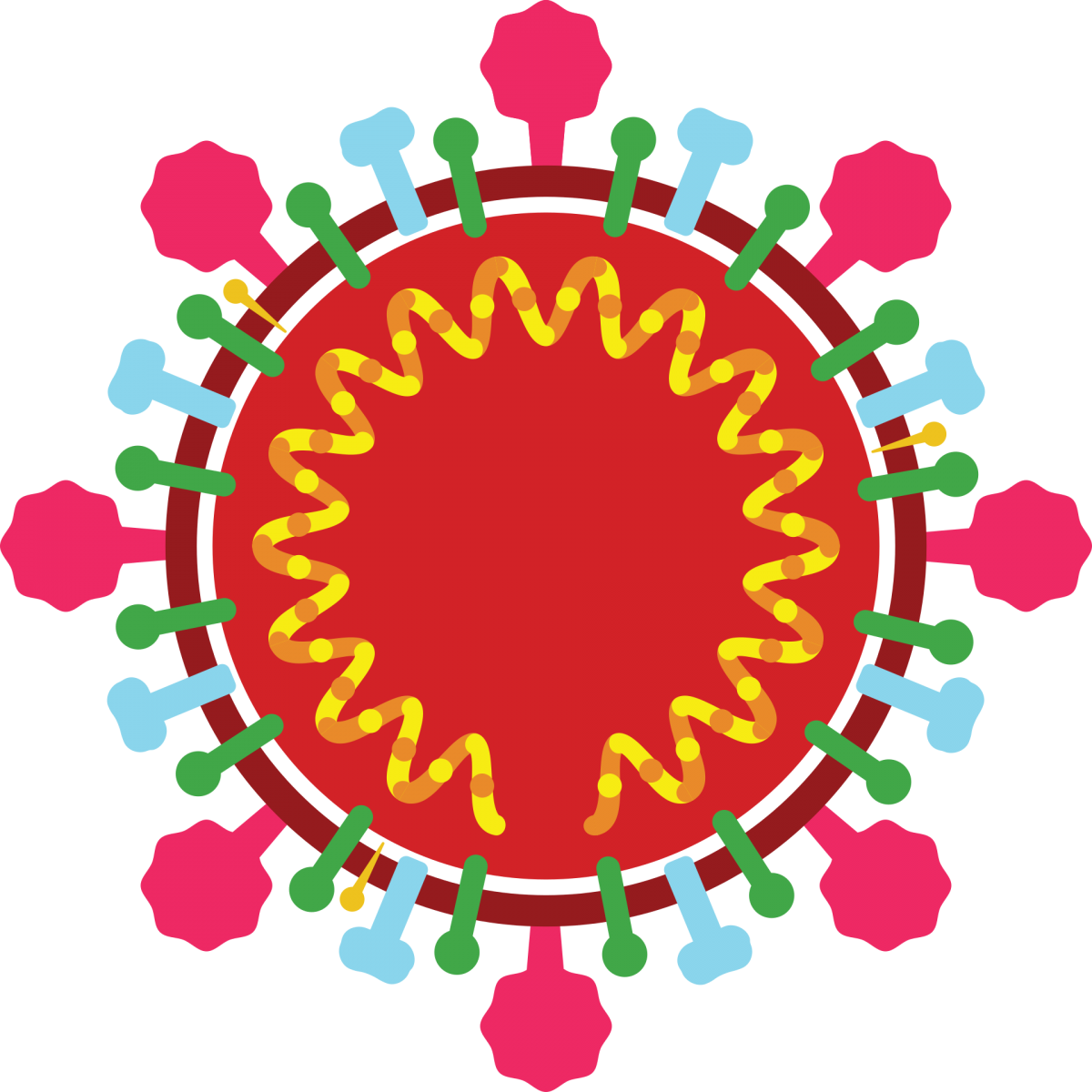 Illustration of a coronavirus structure (Pixabay)