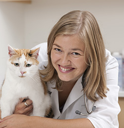 Dr. Adronie Verbrugghe, Royal Canin Veterinary Diets Endowed Chair in Canine and Feline Clinical Nutrition